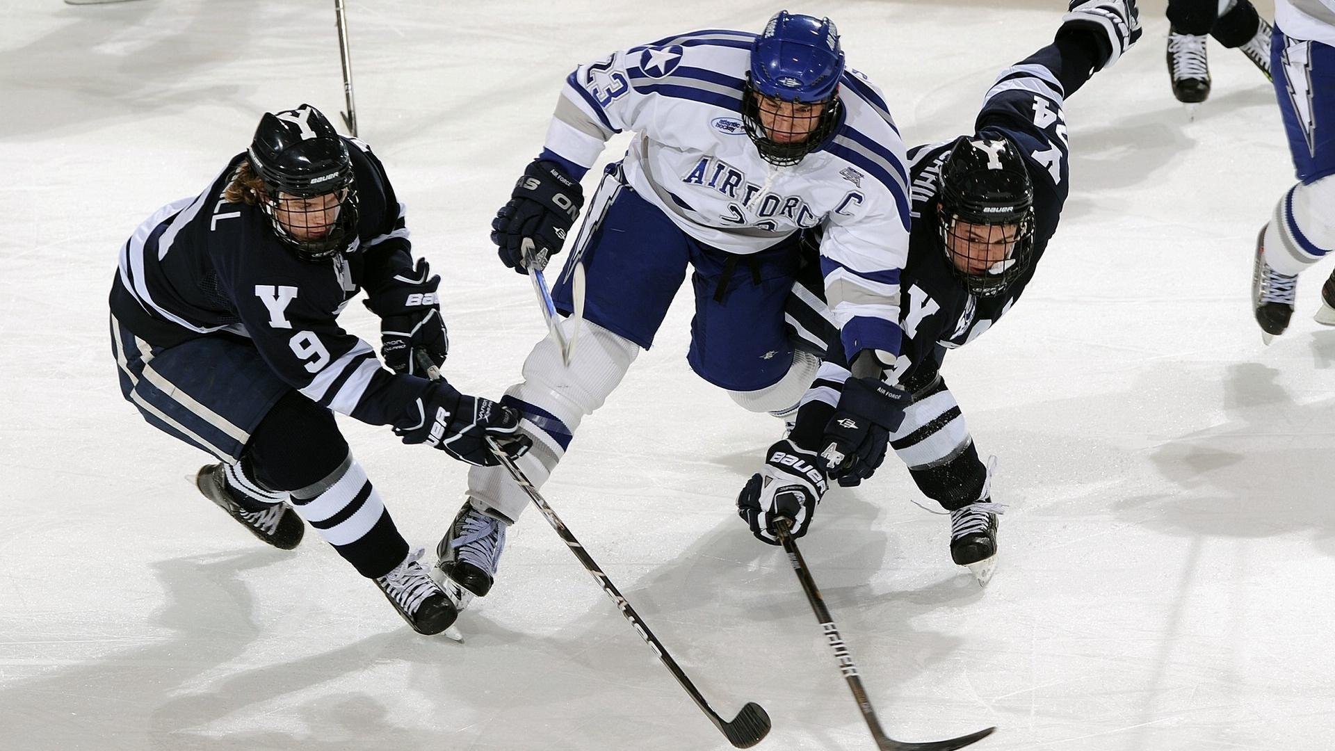 青年体育人才培养基金会成立推动长期发展支持,体育青年组年龄范围